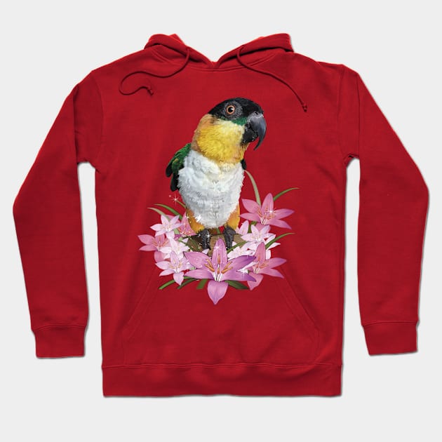 caique Hoodie by obscurite